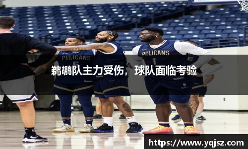 鹈鹕队主力受伤，球队面临考验