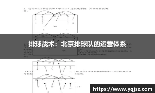 排球战术：北京排球队的运营体系
