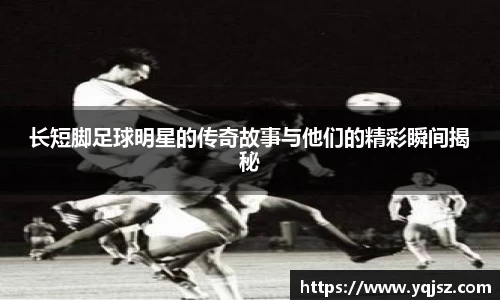 天博官网入口首页